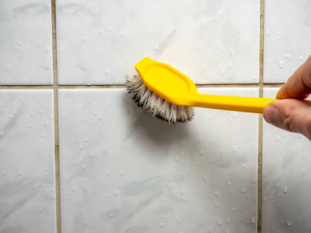 Best Attic Mold Removal  in South Wilton, CT