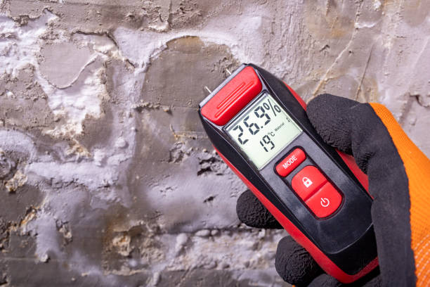 Mold Removal Process in South Wilton, CT