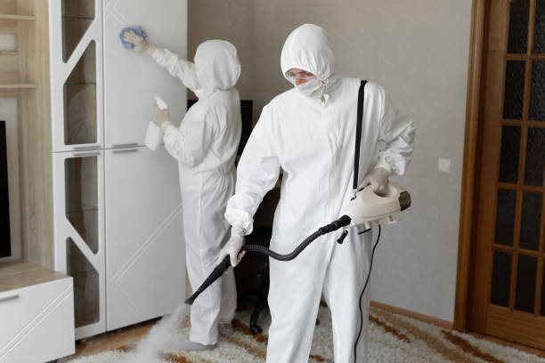 Best Mold Removal Process  in South Wilton, CT